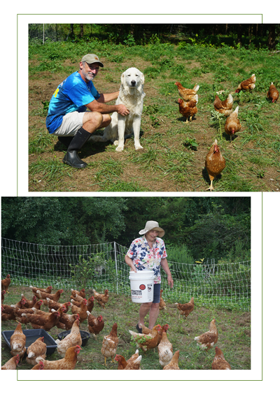 Murray Gates and sister with their hens