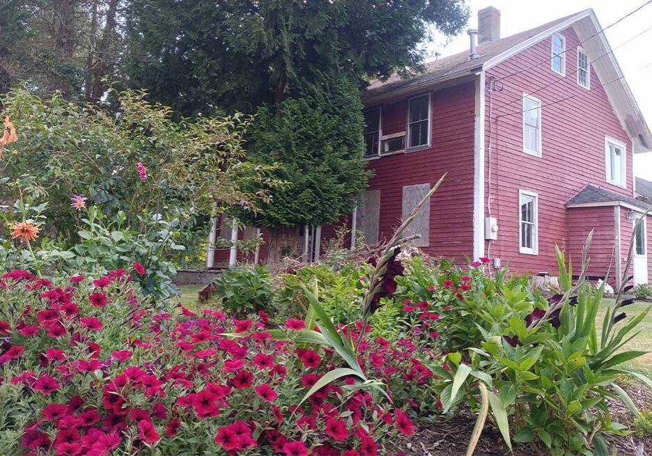 Farmhouse with flowers in the foreground